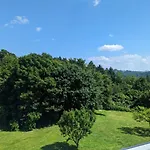 Domacija Mlaker *