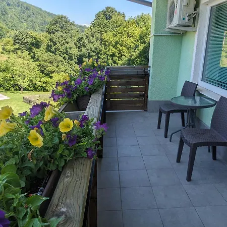Apartment Domacija Mlaker