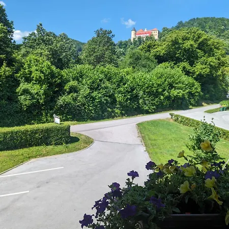 Domacija Mlaker Apartment Podcetrtek