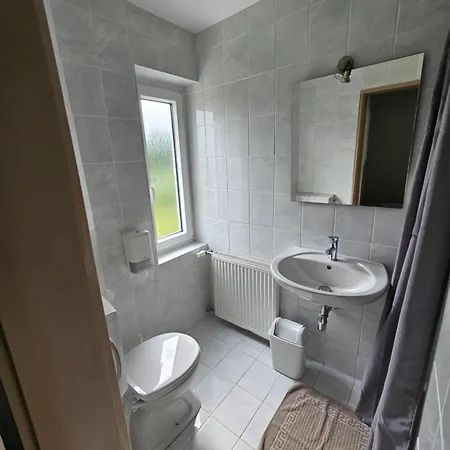 Domacija Mlaker Apartment