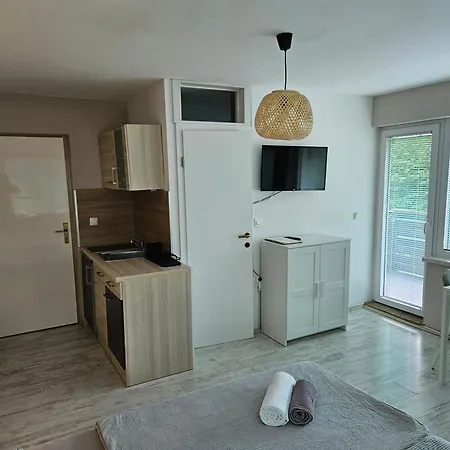 Domacija Mlaker Apartment