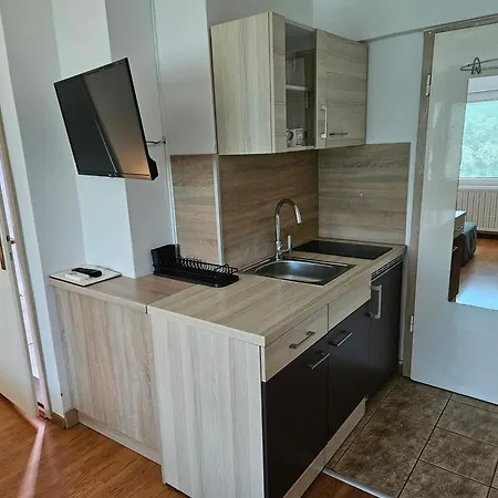 Apartment Domacija Mlaker