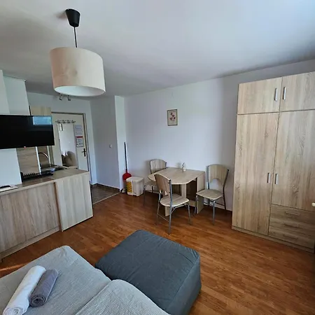 Domacija Mlaker Apartment *
