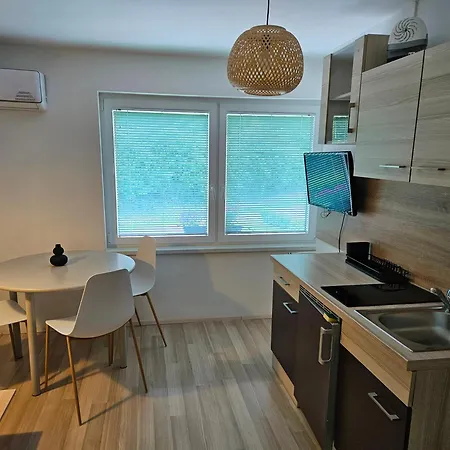 Domacija Mlaker Apartment Podcetrtek