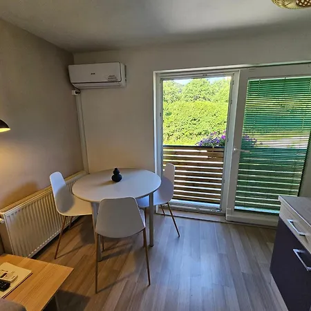Apartament Domacija Mlaker