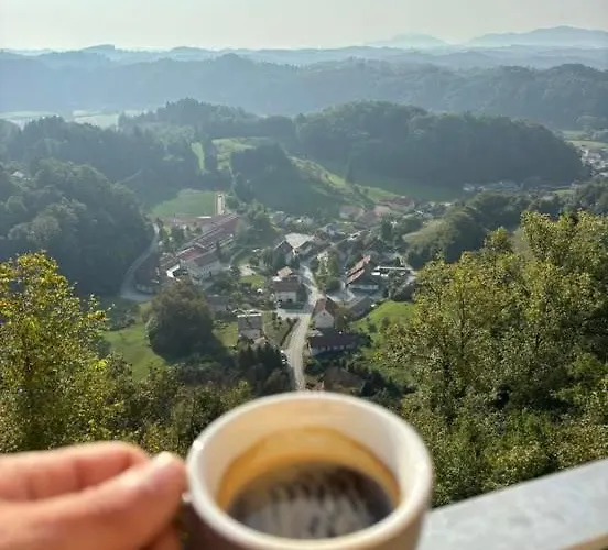 Domacija Mlaker Apartment