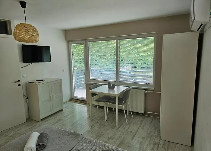 Apartment Domacija Mlaker *